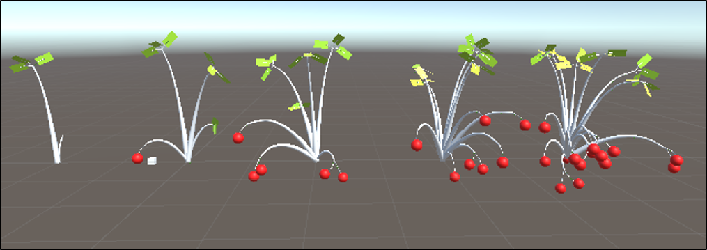 Plant Growth Over Time